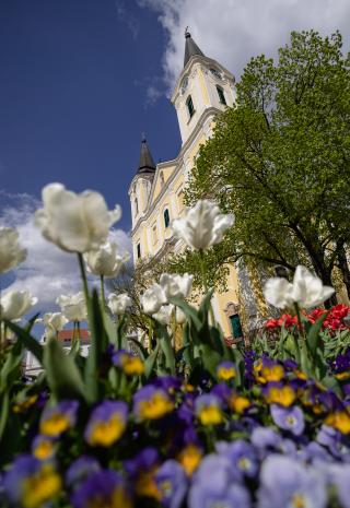 Mária Magdolna templom Zalaegerszeg alulnézetből virágokkal az előtérben - gal�ria