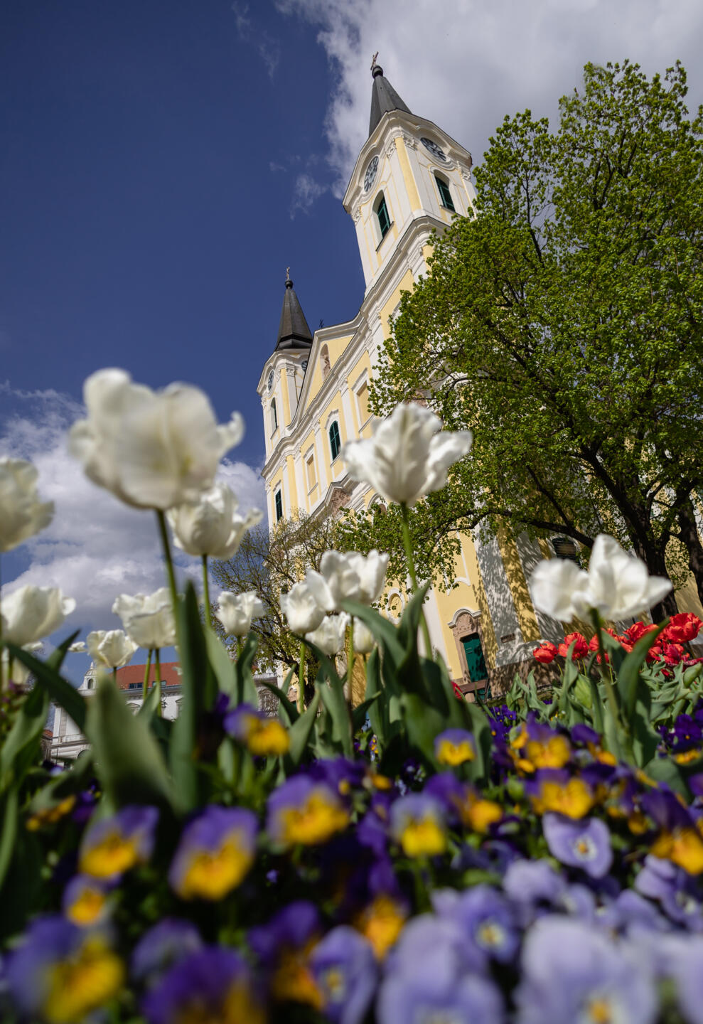 Templom k�v�lr�l